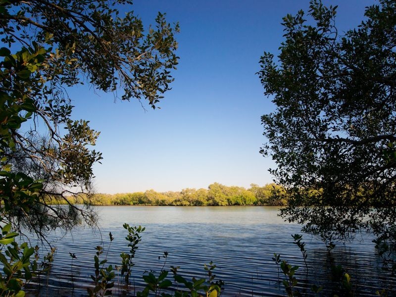 181 Carrs Drive, Yamba NSW 2464