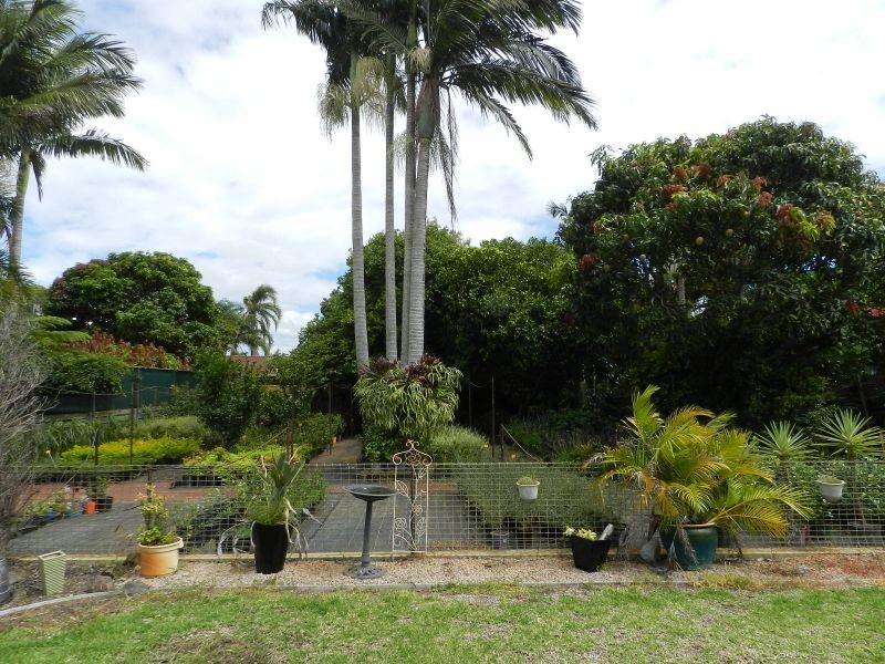 13 Ardisia Close, Yamba NSW 2464