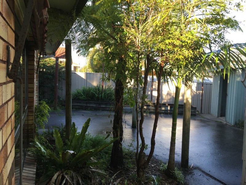 64 Coonawarra Court, Yamba NSW 2464