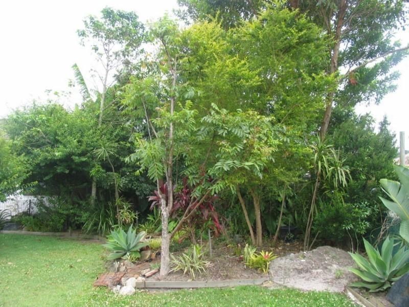 111 Yamba Road, Yamba NSW 2464