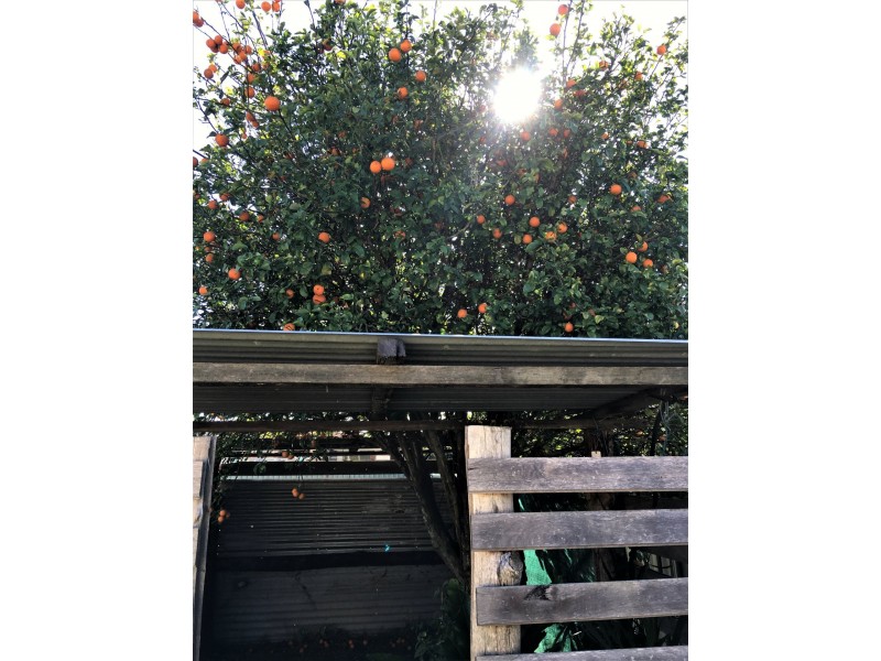 175 Yamba Road, Yamba NSW 2464