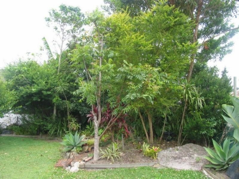 111 Yamba Road, Yamba NSW 2464