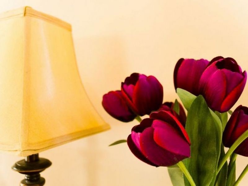 33 Oceania Court, Yamba NSW 2464