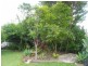 111 Yamba Road, Yamba NSW 2464