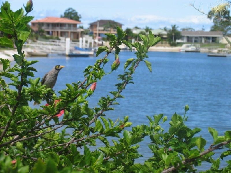 Ebbtide/85 Witonga Drive, Yamba NSW 2464