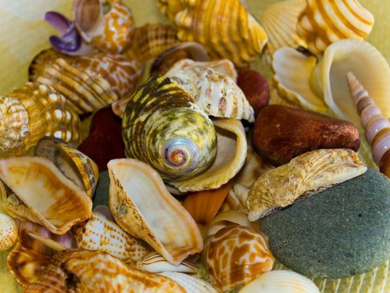 Sands 54/19-21 Pacific Parade, Yamba NSW 2464