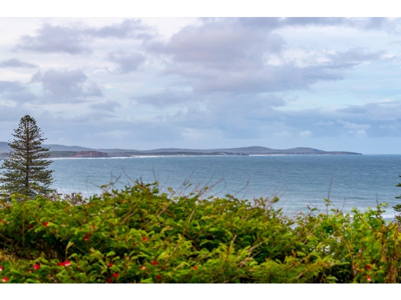 142 Ocean Road, Brooms Head NSW 2463