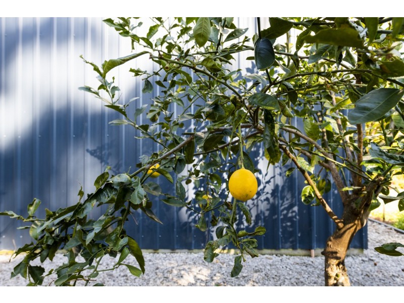 6a Island View Road, Woombah NSW 2469