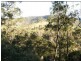 238 Pitkins Road, Nymboida NSW 2460