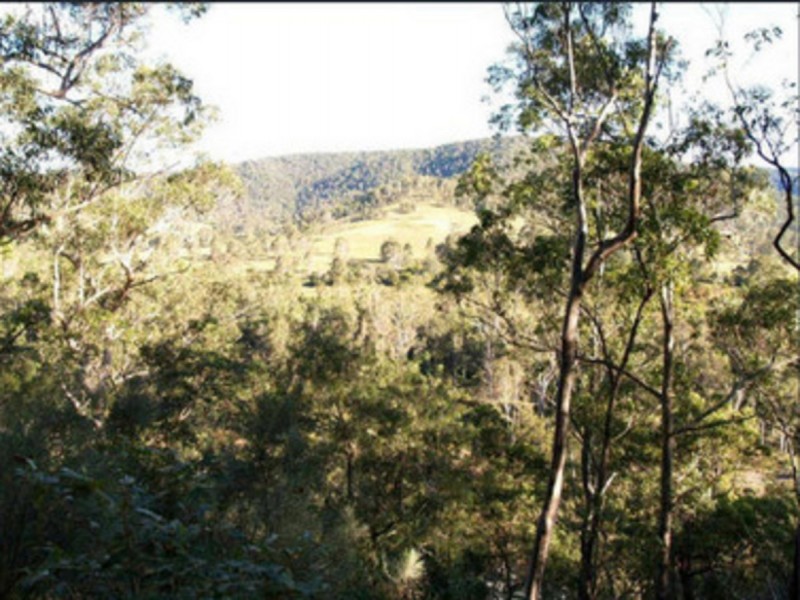 238 Pitkins Road, Nymboida NSW 2460
