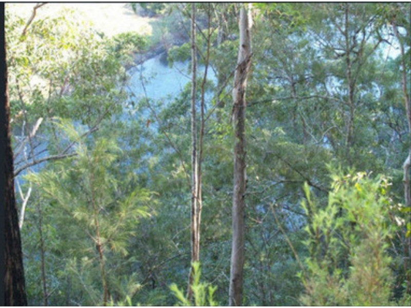 238 Pitkins Road, Nymboida NSW 2460