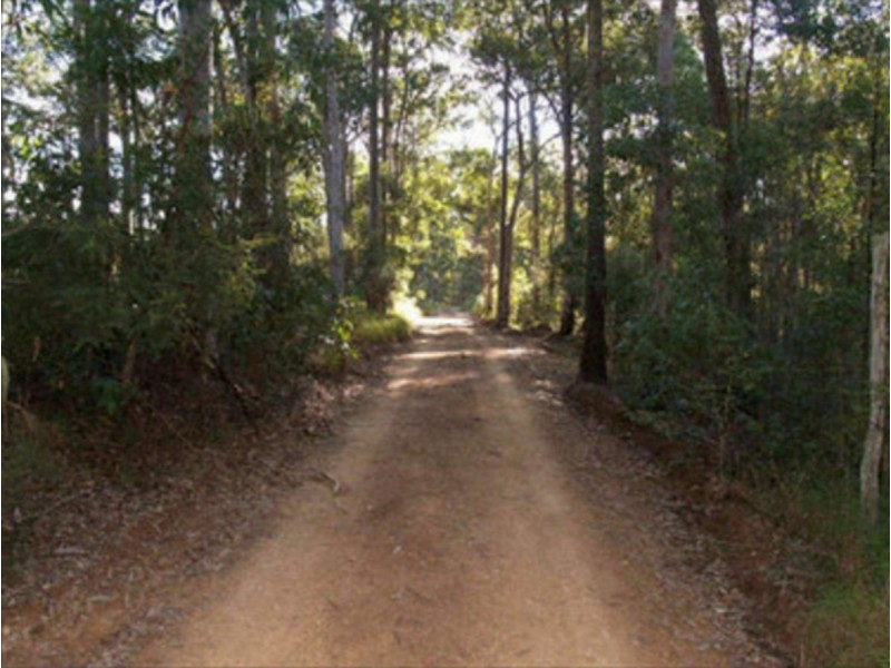 238 Pitkins Road, Nymboida NSW 2460