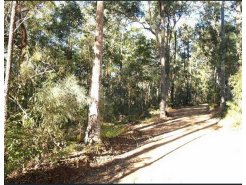 238 Pitkins Road, Nymboida NSW 2460