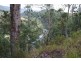 238 Pitkins Road, Nymboida NSW 2460