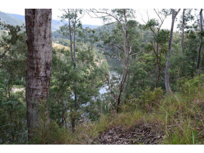 238 Pitkins Road, Nymboida NSW 2460