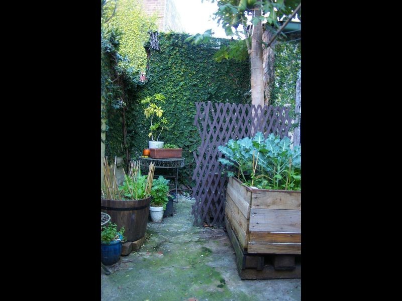 522 Crown Street, Surry Hills NSW 2010