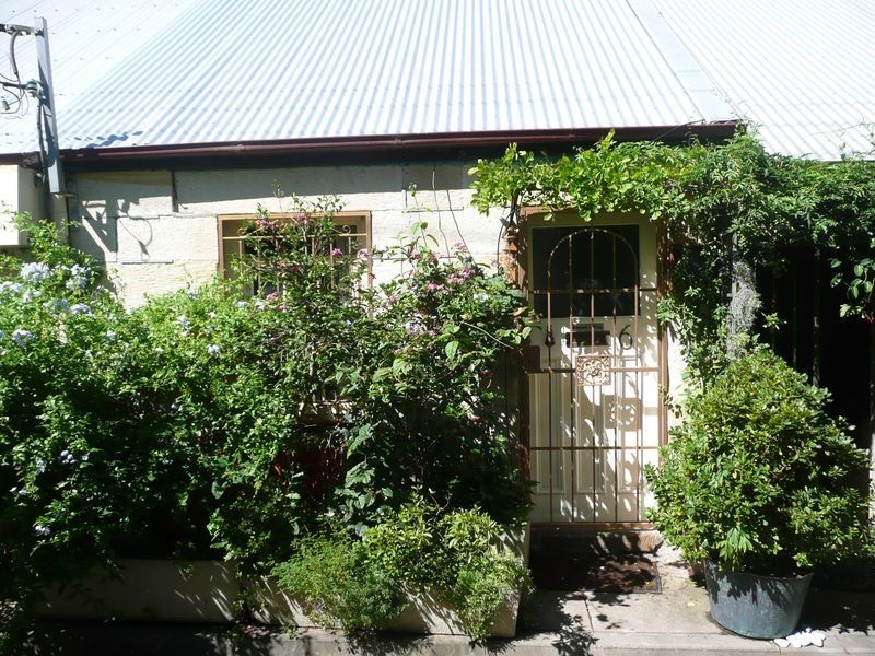 6 McElhone Place, Surry Hills NSW 2010