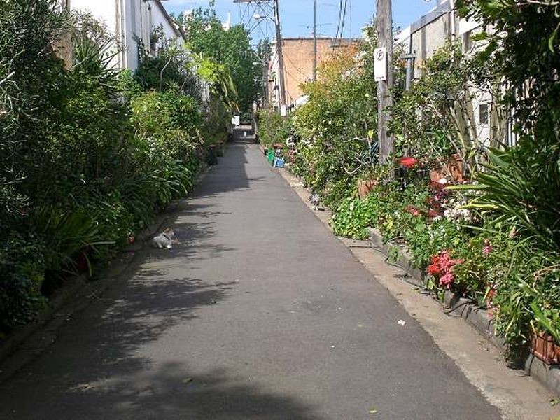 6 McElhone Place, Surry Hills NSW 2010