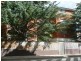 8/27 Turner Street, Redfern NSW 2016