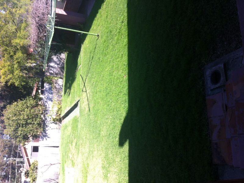 394 The Kingsway, Caringbah NSW 2229