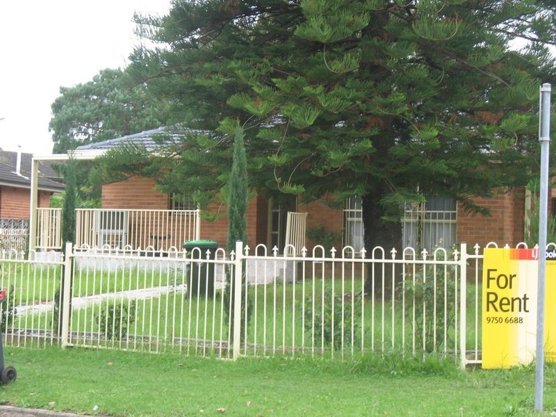 12 CULLENS RD, Punchbowl NSW 2196