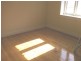38 Shadforth Street, Wiley Park NSW 2195