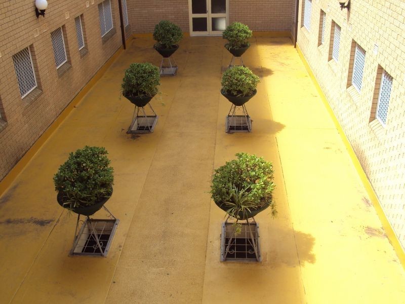 12/249 Haldon Street, Lakemba NSW 2195