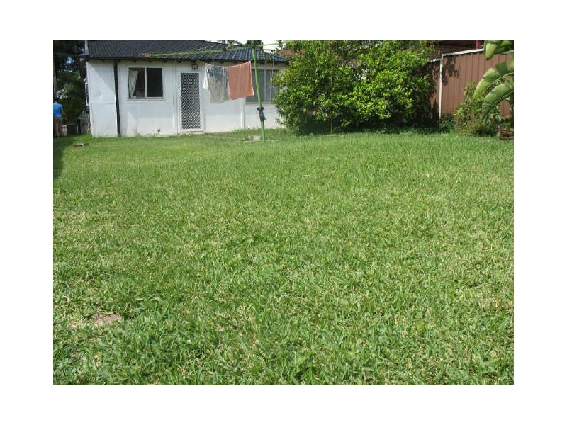 56 Colin Street, Lakemba NSW 2195