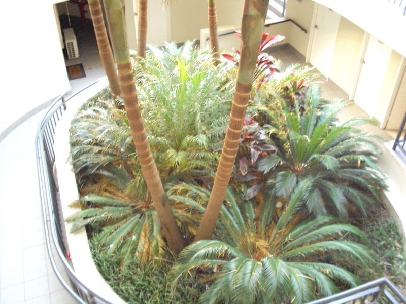 1-18/300-306 Canterbury Road, Canterbury NSW 2193