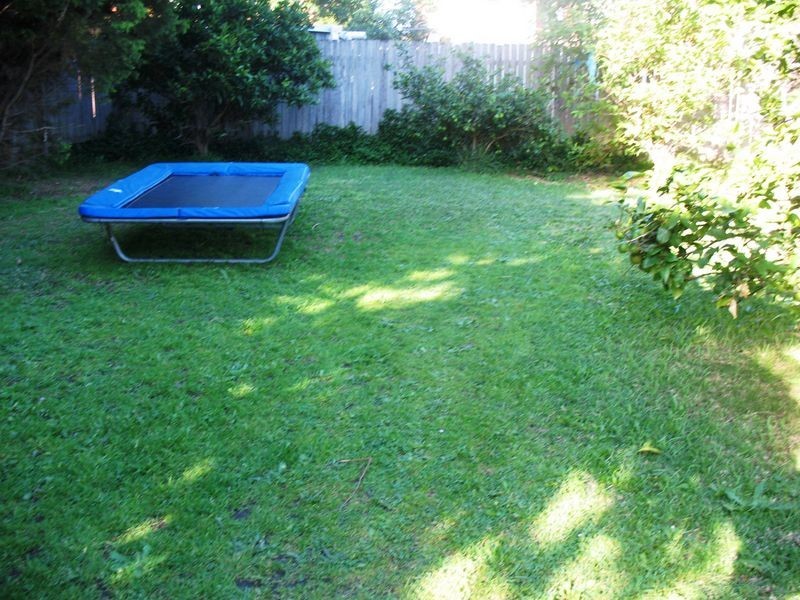 21 Cornelia Street, Wiley Park NSW 2195