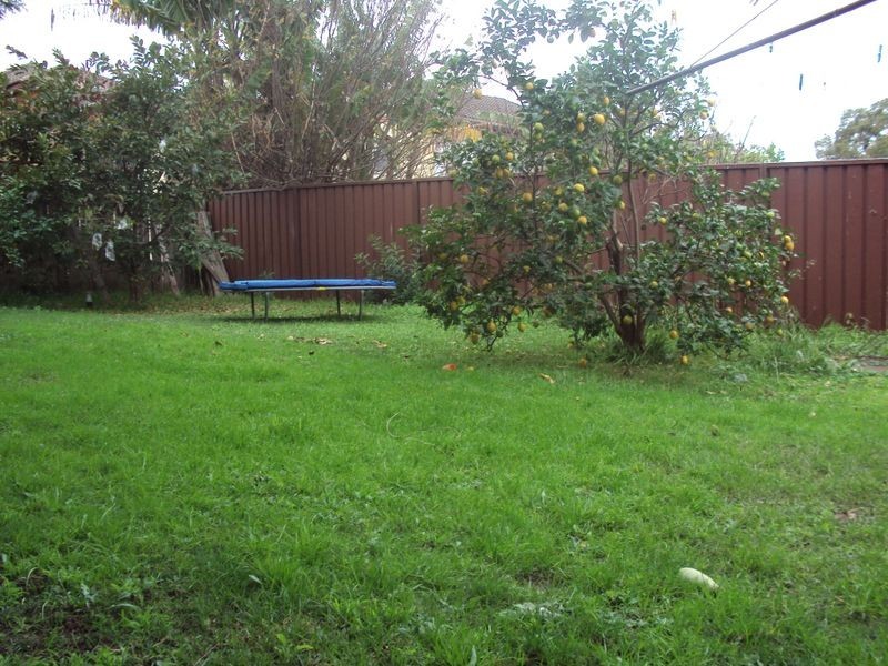 21 Cornelia Street, Wiley Park NSW 2195