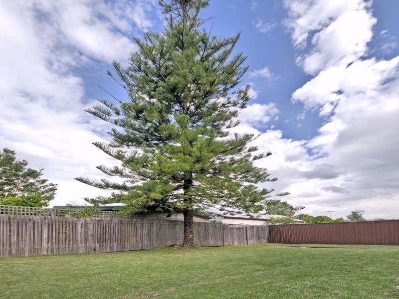 2/202 VICTORIA ROAD, Punchbowl NSW 2196