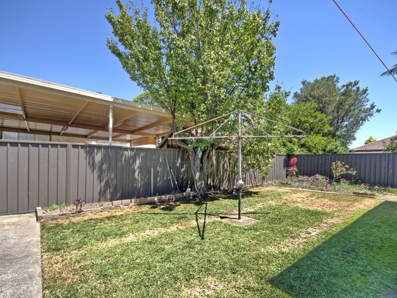47 Jarrett Street, Clemton Park NSW 2206