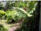 Westcourt QLD 4870