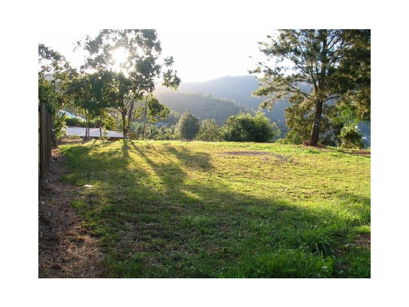 41 Granadilla Drive, Earlville QLD 4870