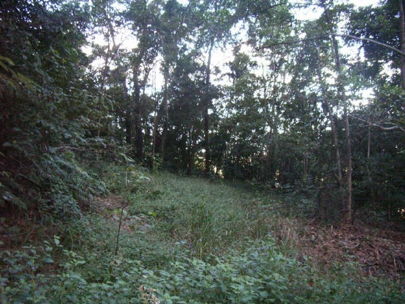 Lot 34 Moule Drive, Whitfield QLD 4870