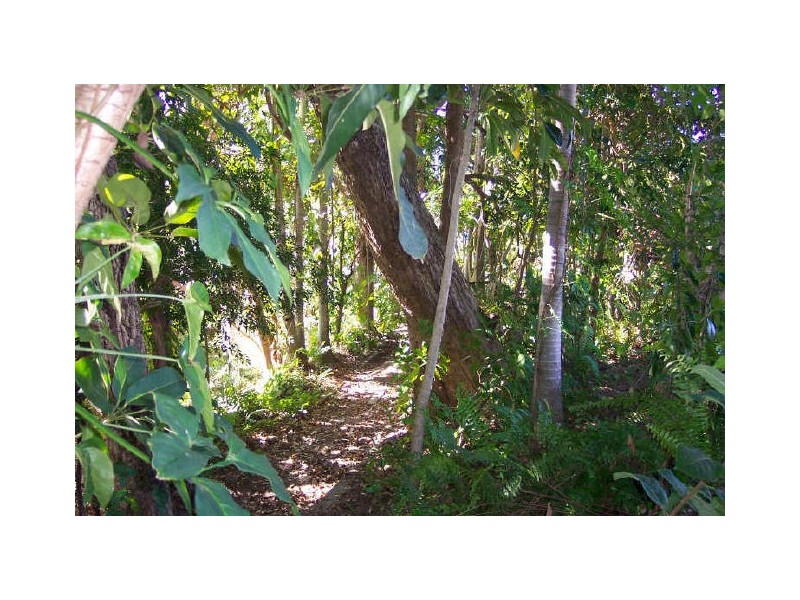 187 Woodward Street, Whitfield QLD 4870