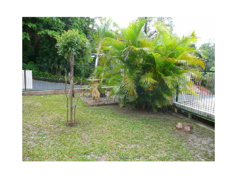 19 Megan Close, Freshwater QLD 4870