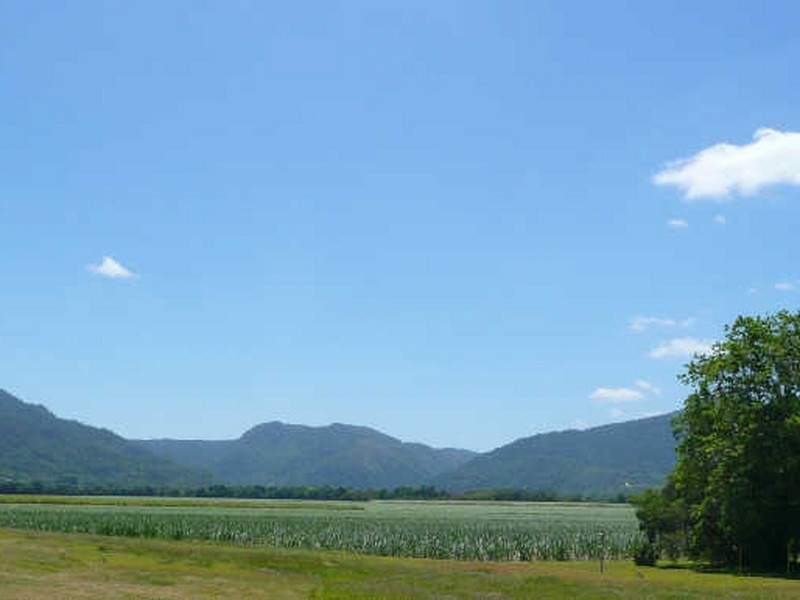 2/193 Kamerunga Road, Freshwater QLD 4870