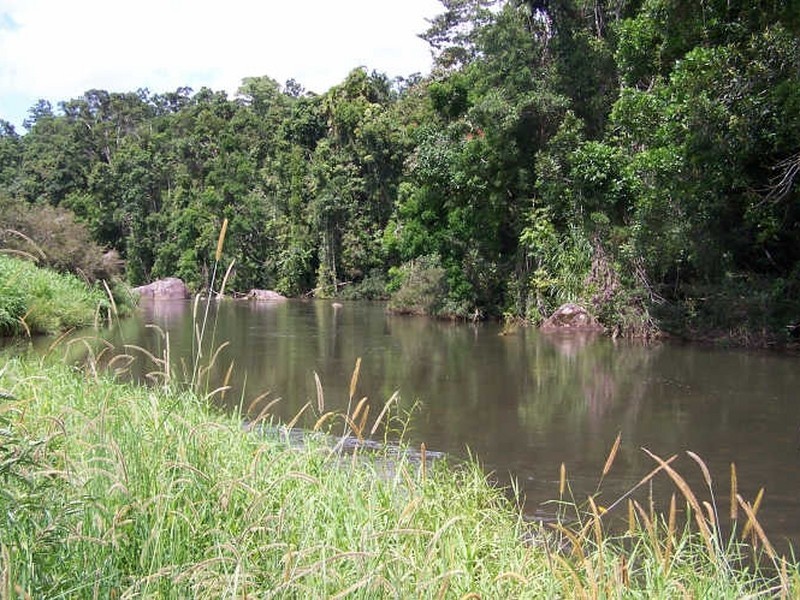 Lot 361,363 & 436/ Barter Road, Millaa Millaa QLD 4886