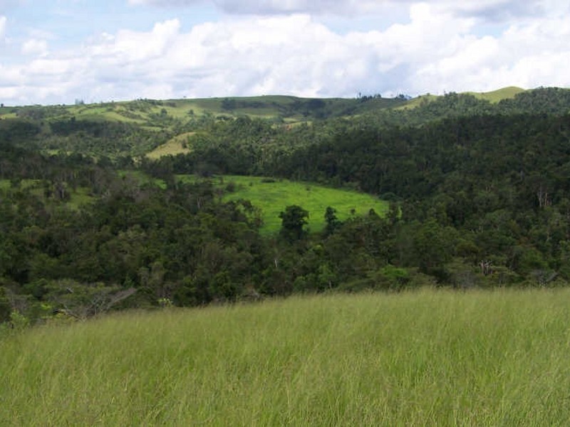 Lot 361,363 & 436/ Barter Road, Millaa Millaa QLD 4886