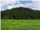 Lot 361,363 & 436/ Barter Road, Millaa Millaa QLD 4886