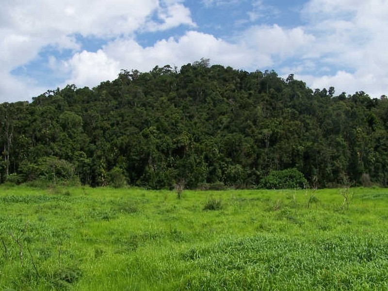Lot 361,363 & 436/ Barter Road, Millaa Millaa QLD 4886