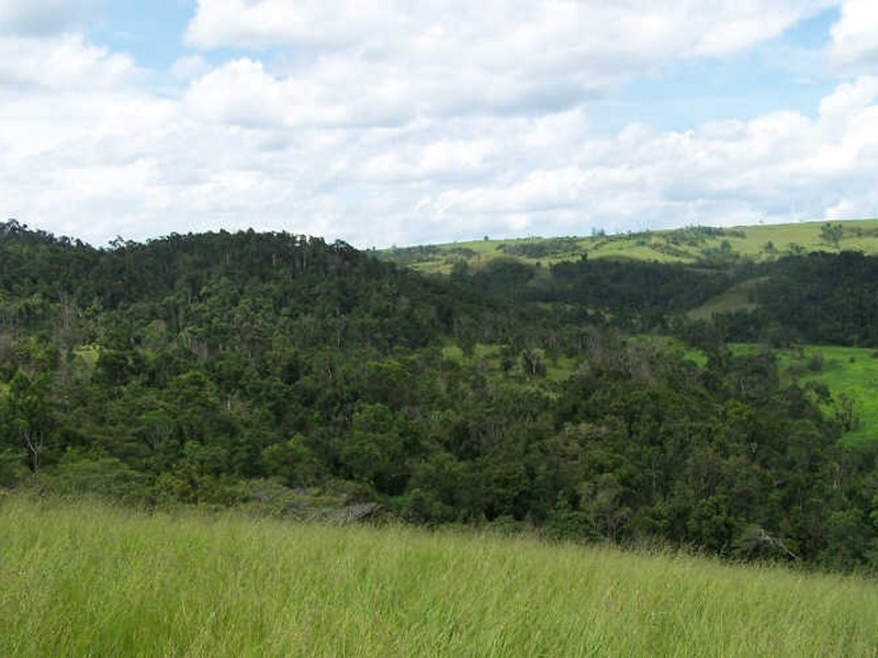 Lot 361,363 & 436/ Barter Road, Millaa Millaa QLD 4886