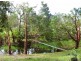 37 Evans Road, Bramston Beach QLD 4871
