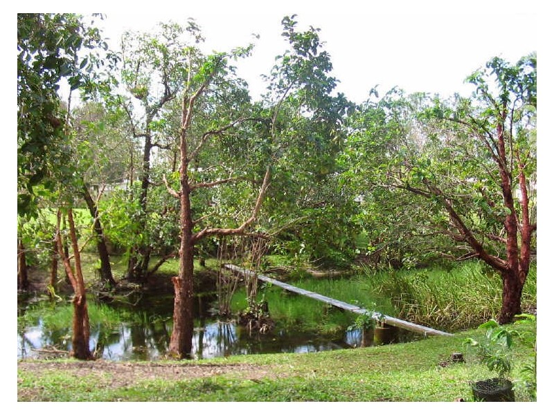 37 Evans Road, Bramston Beach QLD 4871