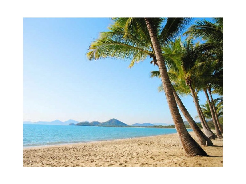 55 Veivers Road, Palm Cove QLD 4879