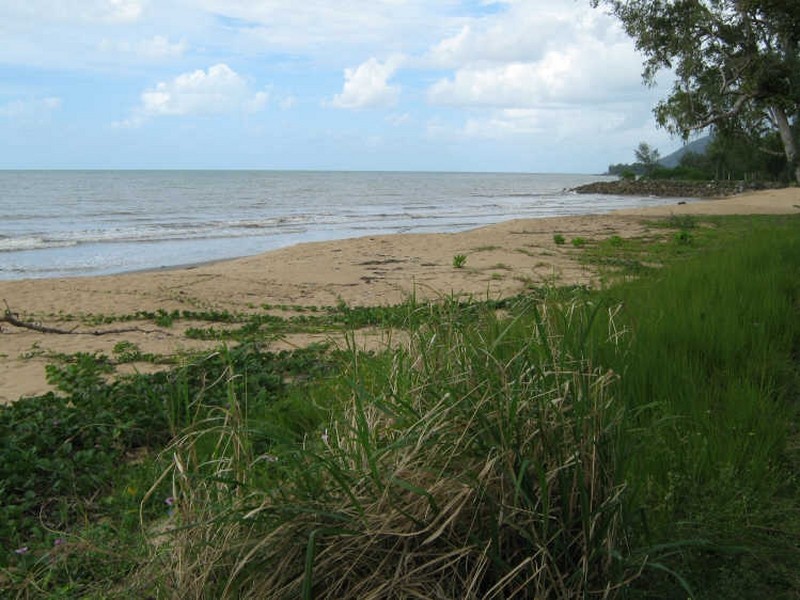 14 Paperbark Street, Bramston Beach QLD 4871