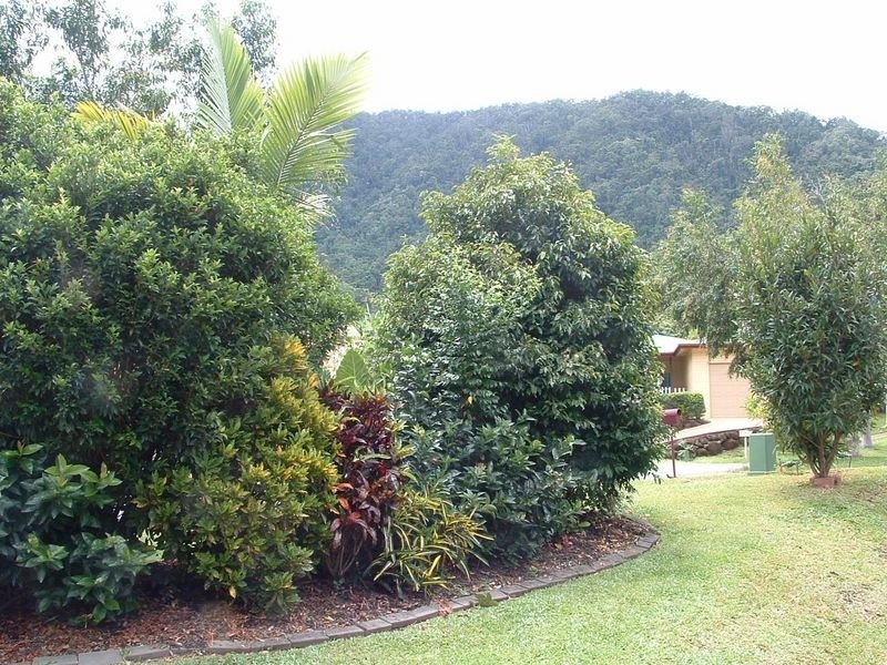Redlynch QLD 4870