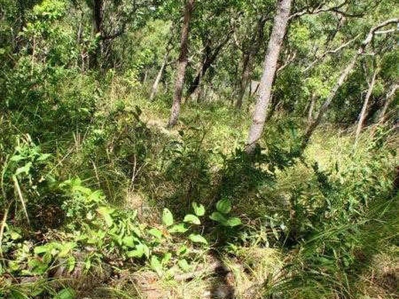 56 Summer Street, Thursday Island QLD 4875